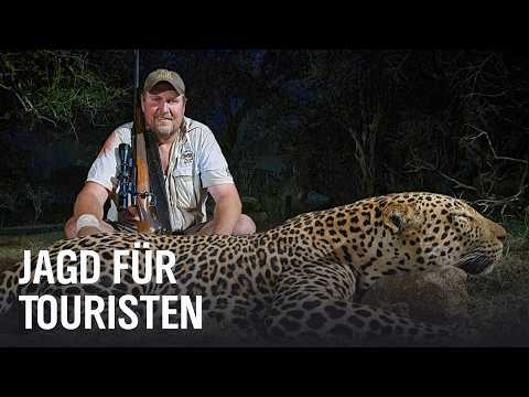 Jagd in Afrika: Tiere als Trophäen | Doku | NDR Story