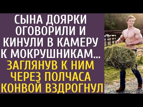 Сына доярки оговорили и кинули в камеру к мокрушникам… Заглянув к ним через полчаса конвой вздрогнул