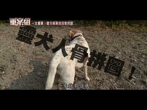 【重案組 預告】靈犬胖胖!草叢叼斷肢+頭顱...揭台南分屍案!/警界畫神!一支畫筆!替分屍案找回家的路...