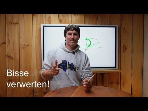 Wenn Du dieses Video gesehen hast, wirst Du mehr FANGEN!