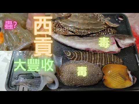 西貢食完飯又去行🤣下午D貨又有唔同,見到樣樣都想買😍第一次見咁大隻白蟹,又買大尾魷,同2條毒魚😍返屋企玩蒸氣鍋👍fishcut~香港海鮮~社長遊街市Hong Kong Seafood Market