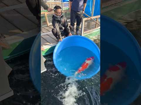 Japan’s Most Expensive Treasures ❤️