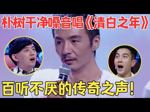 无可替代的传奇嗓音！朴树清澈歌声直击人心,一曲《清白之年》让全场红了眼框,听完不胜唏嘘！【跨界之声·纯享版】