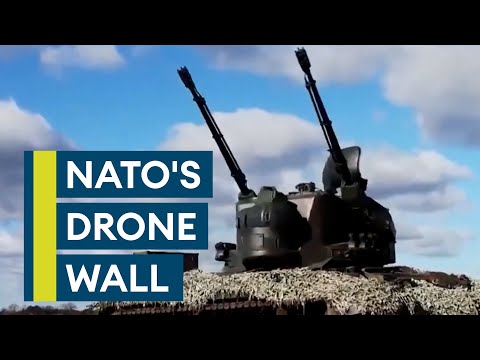 Europe's drone wall: A plan to sabotage Russia's air incursions