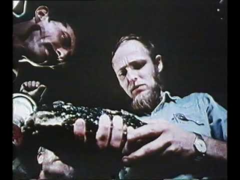 National Geographic: Strange Creatures of the Night (1973)