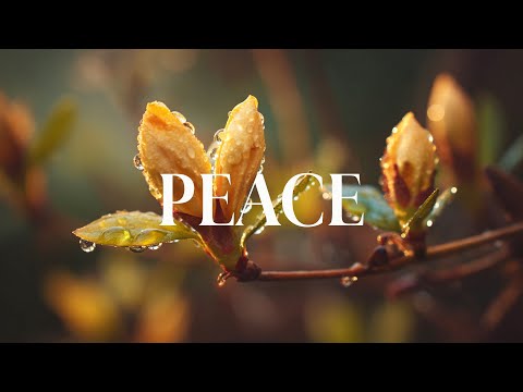 PEACE |Soaking Prayer Music | Instrumental for Prayer, Devotion, Peace, Meditation and Relaxation