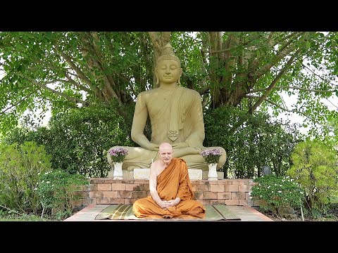 2567.05.22 The Path to Wisdom by Ajahn Jayasaro