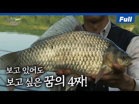 [Full] 꿈의 4짜!! 이 순간을 위해 많은 밤을 지새웠다! [붕어낚시 월척특급/823회]