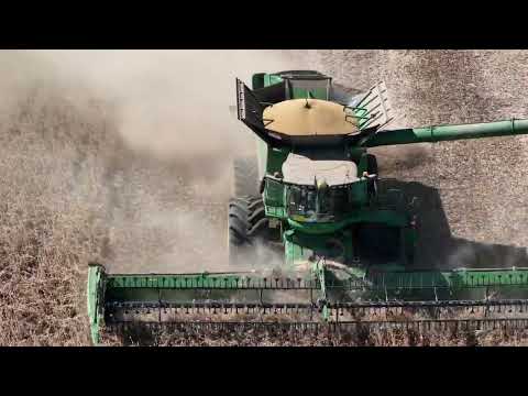 Harvesting (Combining) Soy beans and seeding cover crop. (ASMR)