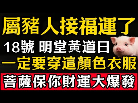 生肖豬必看，明天12月18號，農曆十月廿九是「明堂黃道日」，一定要穿這顏色接財神！菩薩保你財運大爆發！#張天師道法#屬相運勢#生肖#家運#生肖運勢的那些事#先知#風水變化#提升運勢
