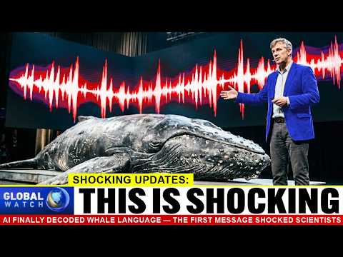 AI Finally Decoded Whale Language — The First Message Shocked Scientists