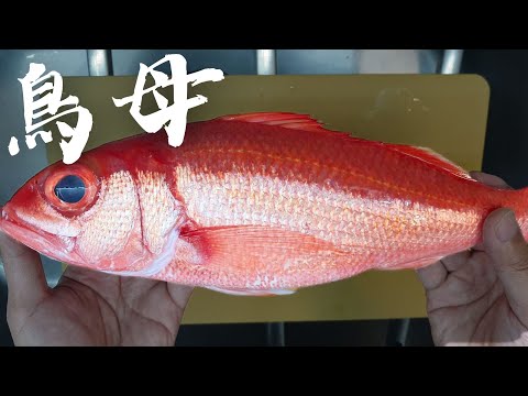 【誰來晚餐】老婆朋友來家裡吃飯，一桌五種魚。| 濱鯛生魚片 馬頭立鱗燒 鰆魚西京燒 泡菜炒河豚。