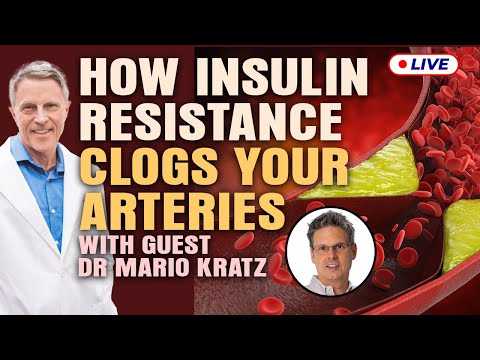 Dr Mario Kratz: This Is How Insulin Resistance Clogged Arteries