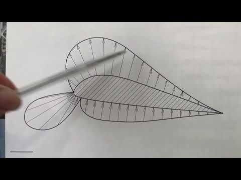 О выборе механизации крыла