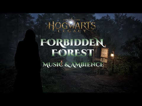 Forbidden Forest | Harry Potter Hogwarts Legacy Cinematic Ambience