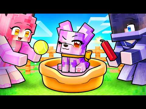 Adopting PUPPY APHMAU in Minecraft!