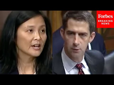 'Really Is Inappropriate': Tom Cotton Grills Biden Nominee Jennifer Sung Over Controversial Letter
