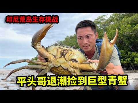 印尼荒岛生存挑战完整版！荒岛深山意外发现红色湖泊，退潮捡到巨型青蟹，自制木筏探寻新的出路【户外平头哥】