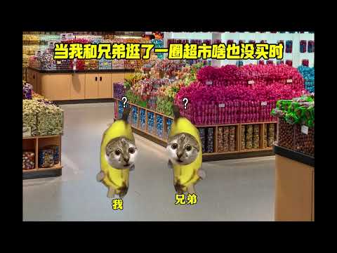當我和兄弟逛了一圈超市啥也沒買時#貓meme #搞笑 #內容過於真實 #萬萬沒想到 #內容啟發搜索