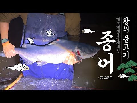 A species of fish that was said to have become extinct 40 years ago appears before Kuma!