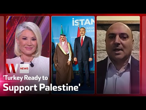 Former Turkish Ambassador: Turkey Ready & Willing to Support Palestine Including Sending Troops