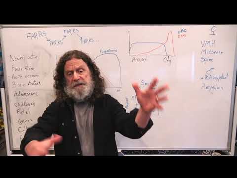 19-Sexuality I - Robert Sapolsky's Human Behavioral Biology