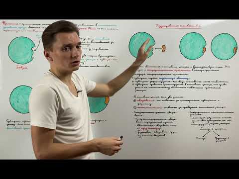 Строение активного центра. Теории взаимодействия фермента и субстрата