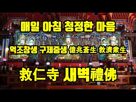 매일 아침 청정한 마음 억조창생 구제중생 구인사 새벽예불 #구인사 #천태종 #새벽예불