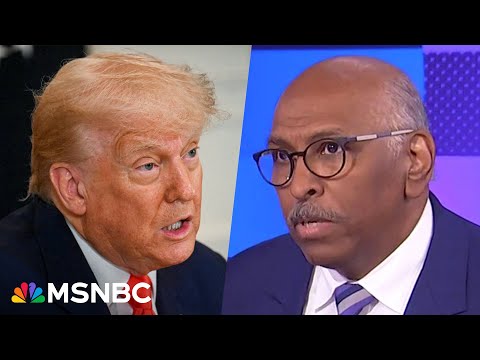 ‘Baloney rhetoric’: Michael Steele on WH slamming the judges who ruled against Trump 