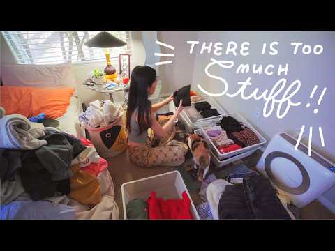 Decluttering My ENTIRE House 🧹✨ my tips as a sentimental keeper of things