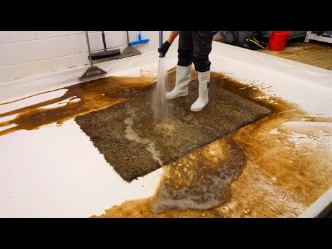 The Incredible Recovery of a Discarded Rug: From Flood-Damaged to Beautifully Restored !