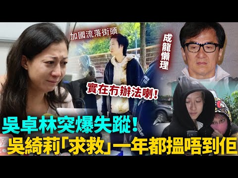 吳卓林失蹤！？吳綺莉「網上求救」一年都搵唔到佢！向成龍求助被拒絕，實在冇辦法喇！#港圈日報