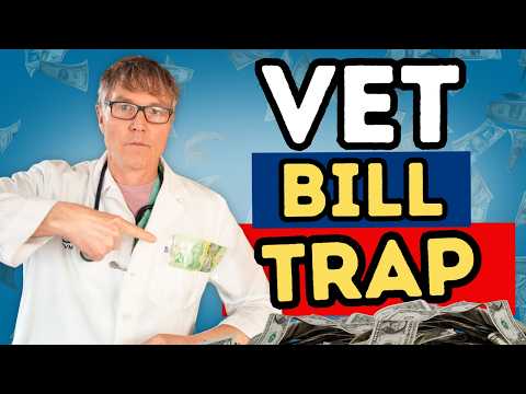 Vet Bills Out of Control? What Pet Owners Can Actually Do