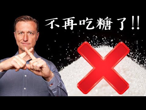 不再吃糖了!等你看完這影片,柏格醫生 Dr Berg
