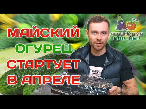 Сеем огурцы для раннего урожая | #семена #огород #огурцы