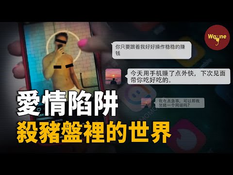 殺豬盤里的愛情陷阱，揭秘「狗推」和他們的世界 | Wayne調查