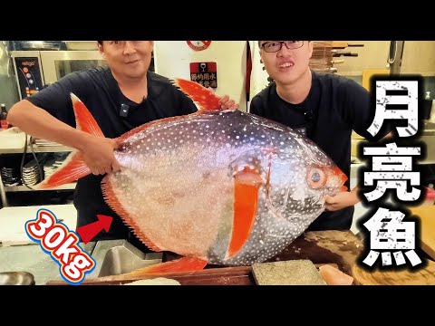 堪比中樂透 全台唯一紀錄 月亮魚 Moonfish 世界唯一恆溫魚 拆解試吃 震撼全場雞皮疙瘩掉滿地!!