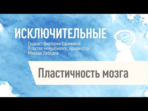 "Пластичность мозга" Михаил Лебедев, В.Л. Ефимова.
