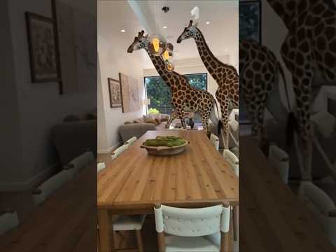 Can giraffes be pets? Tour of a luxury mansion in Los Angeles