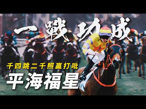 一戰功成！攜手莫雅寫下打吡史上瘋狂逆轉｜平海福星｜1400米大幅增程跑2000米攻下香港打吡大賽｜蔡約翰「彈弓手」部署正本戲封王｜#賽馬物語