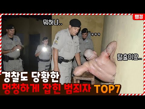 이렇게 잡아도 되나..? 경찰들이 당황할 정도로 멍청하게 잡힌 범죄자들 TOP7