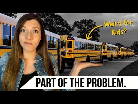 Our Kids Have Greater Freedom in Germany? | Unraveling German and American Parenting Approaches