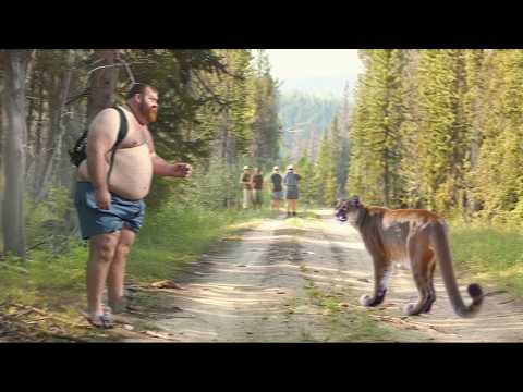 30 Mountain Lion Encounters You Should AVOID Watching...