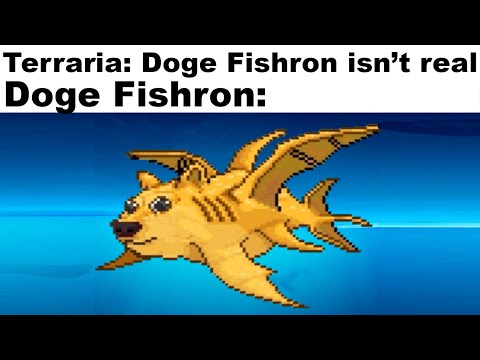 TERRARIA MEMES