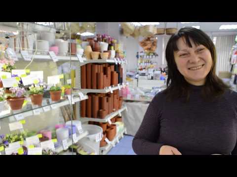 Елена Лебецкая: мини фиалки 2018 и все о них