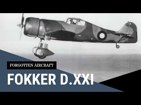 The Fokker D.XXI; Dutch Defender that Served a Surprisingly Long Time