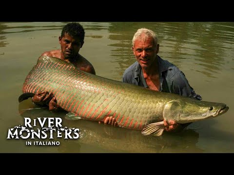 ARAPAIMA, il Pesce-Dinosauro! - River Monsters ITA S01E04