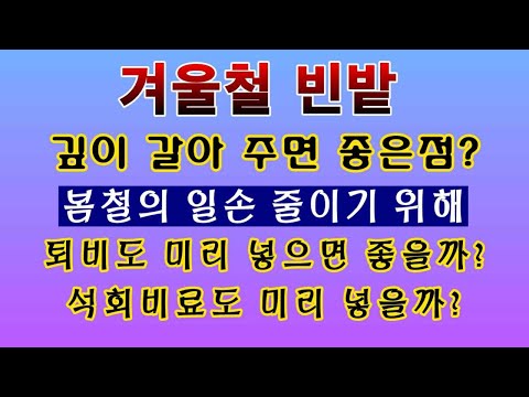 [텃밭농부. 1,311]  겨울철 빈 밭에 퇴비 및 석회비료를 미리 넣으면 좋을까?