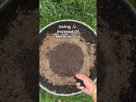 Some might call me “extra” but these garden hacks are game changers #garden #hacks #gardeningtips