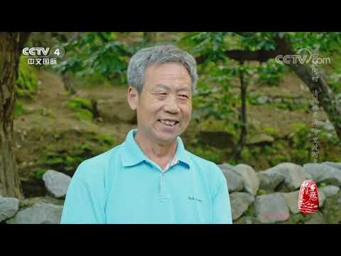 《记住乡愁》第八季 20220107 六渡河村——清风拂栗海 万里渡河来|CCTV中文国际